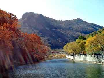 新澳天天开奖资料大全旅游团，二甲苯磺酸钠